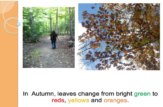 Figure 5: Fall colors